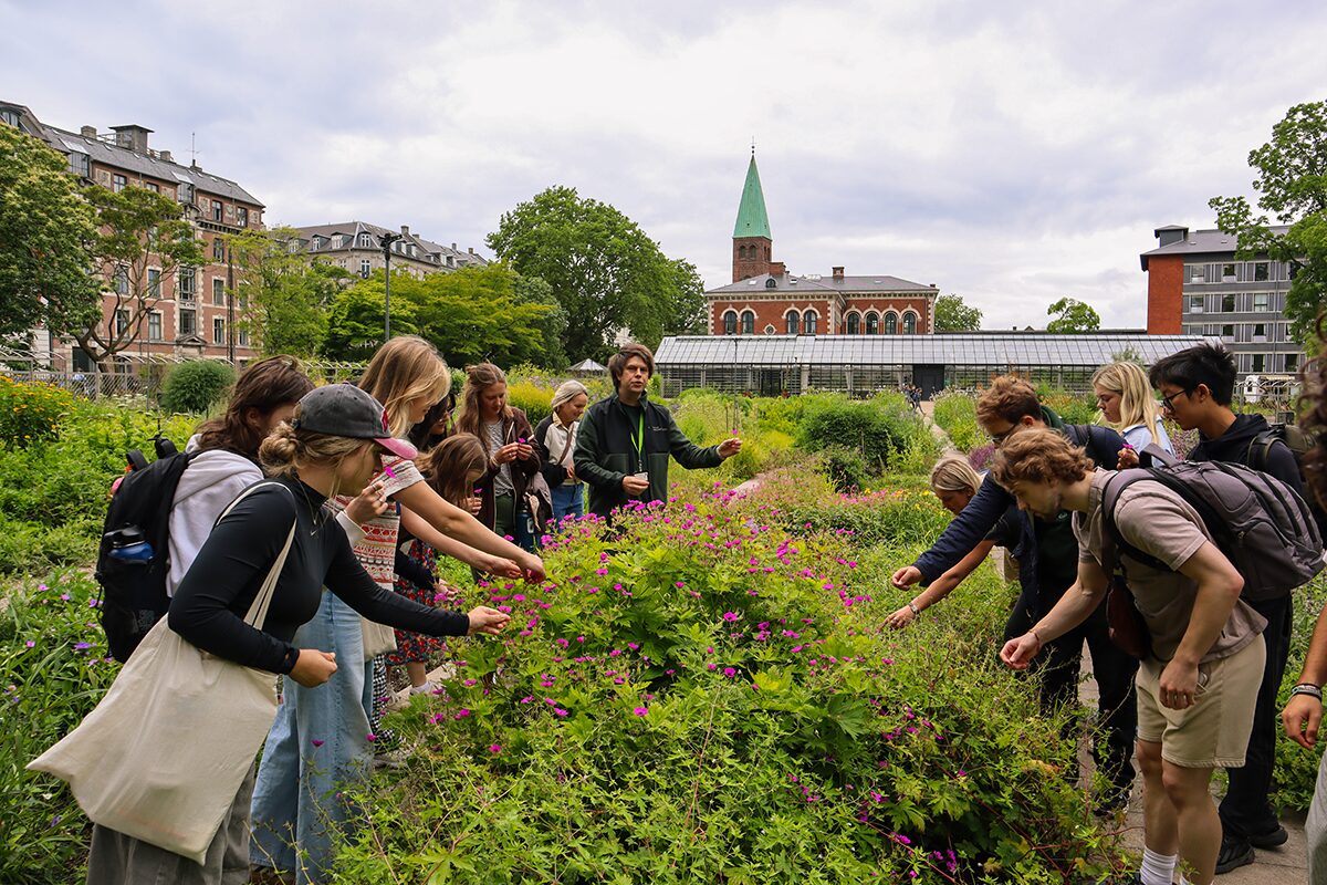 DIS Blog, learning differently