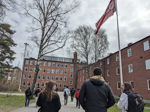 DIS Blog, putting study in study abroad