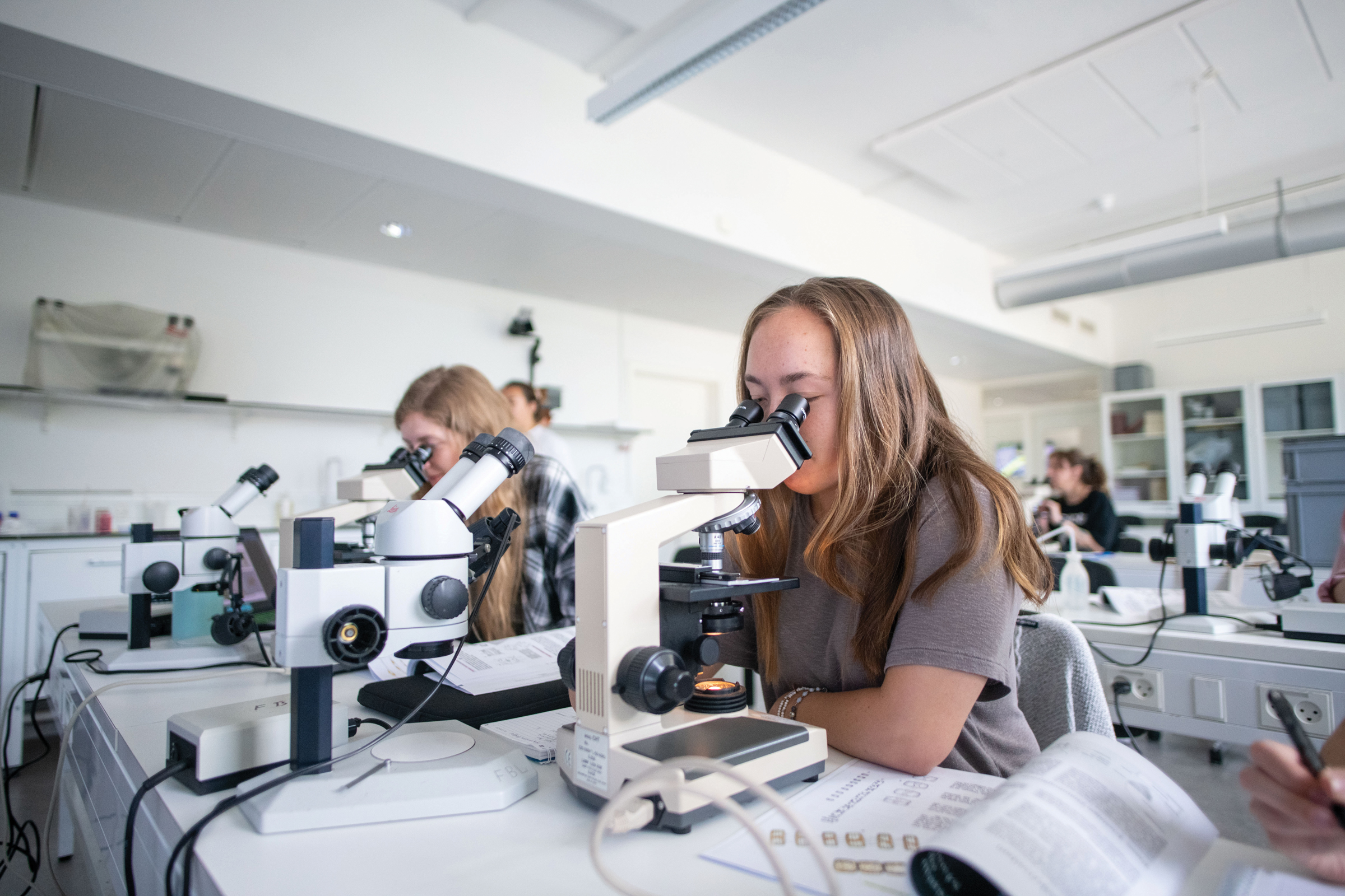 labs research practicum summer session