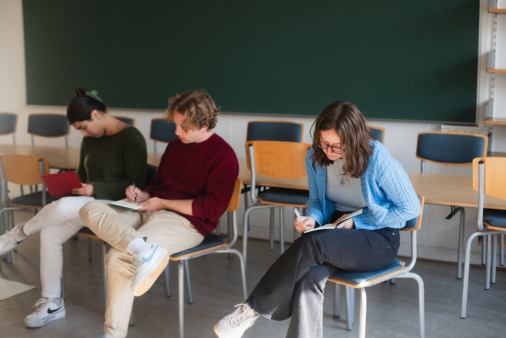 Narrative Medicine: Illness, Suffering, and Madness in Literature