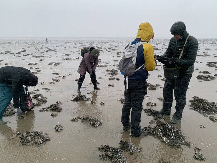 dis_Polar Biology Polar Biology