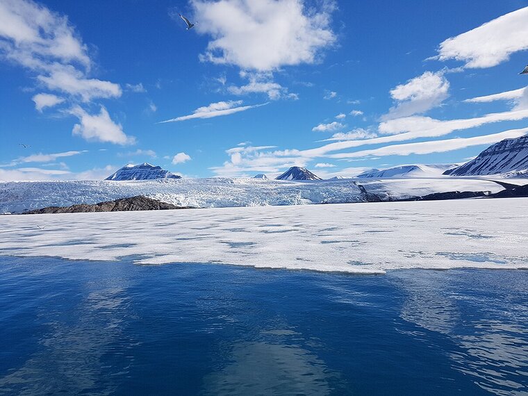dis_polar biology_svalbard_study tour Polar Biology in Svalbard
