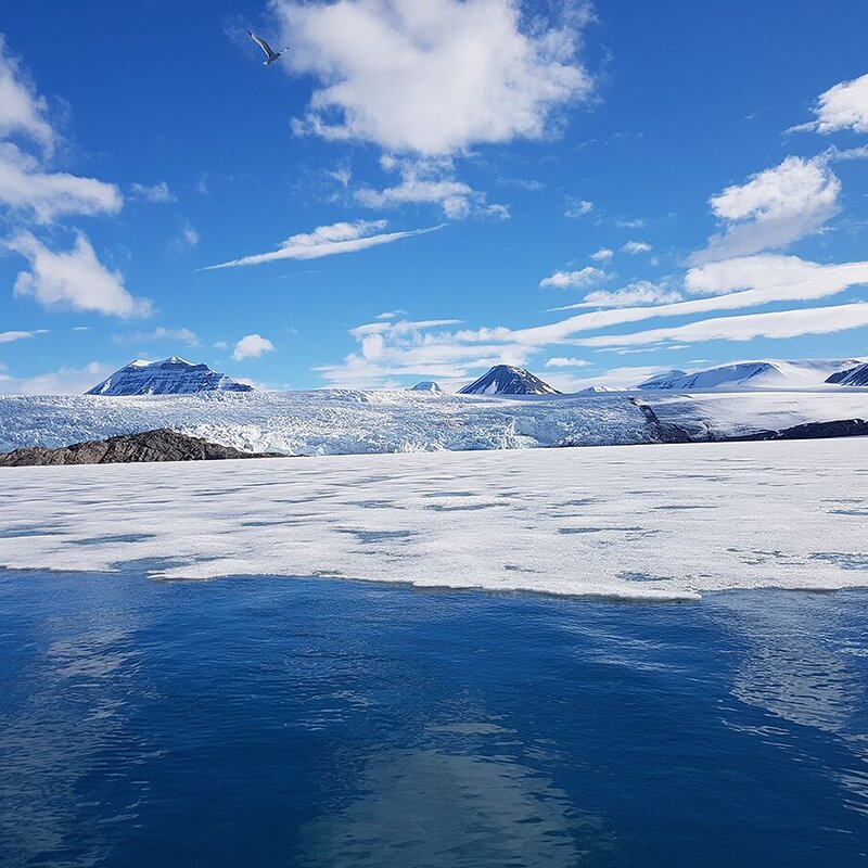 dis_polar biology_svalbard_study tour Polar Biology in Svalbard