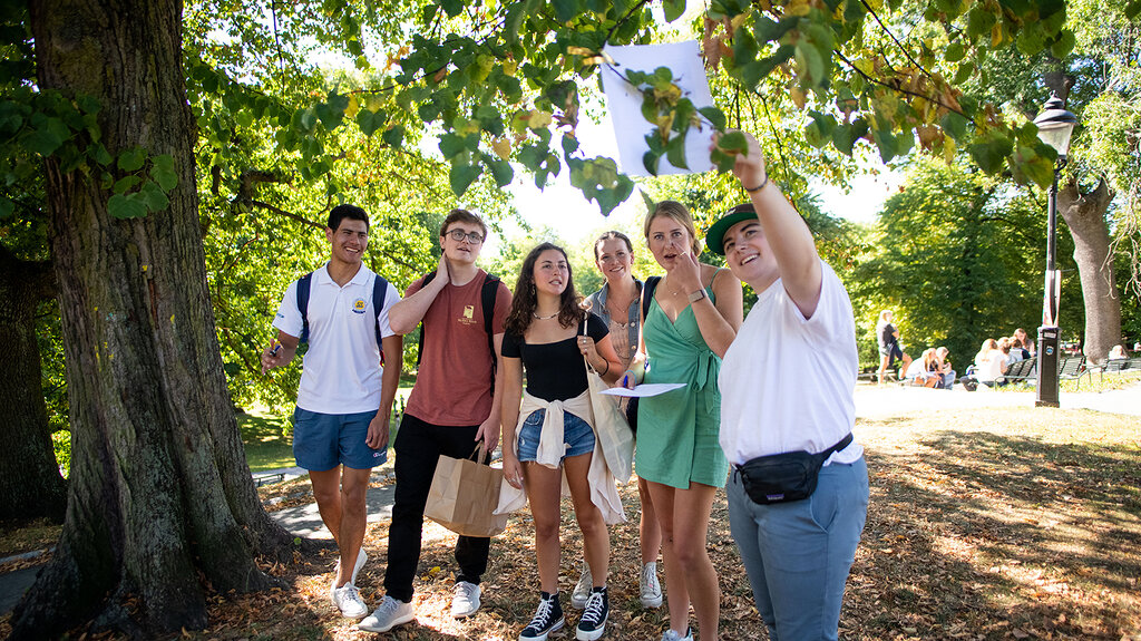 Insurance information, Summer students