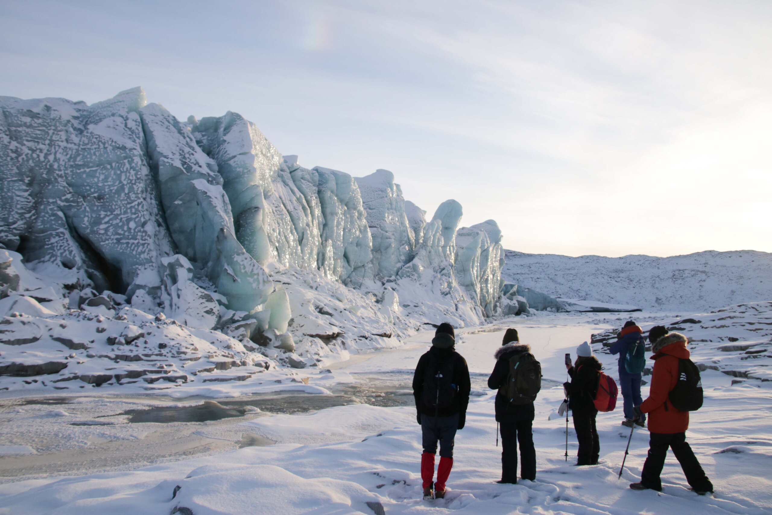 Study climate change and wildlife in the Arctic alongside local experts and researchers.