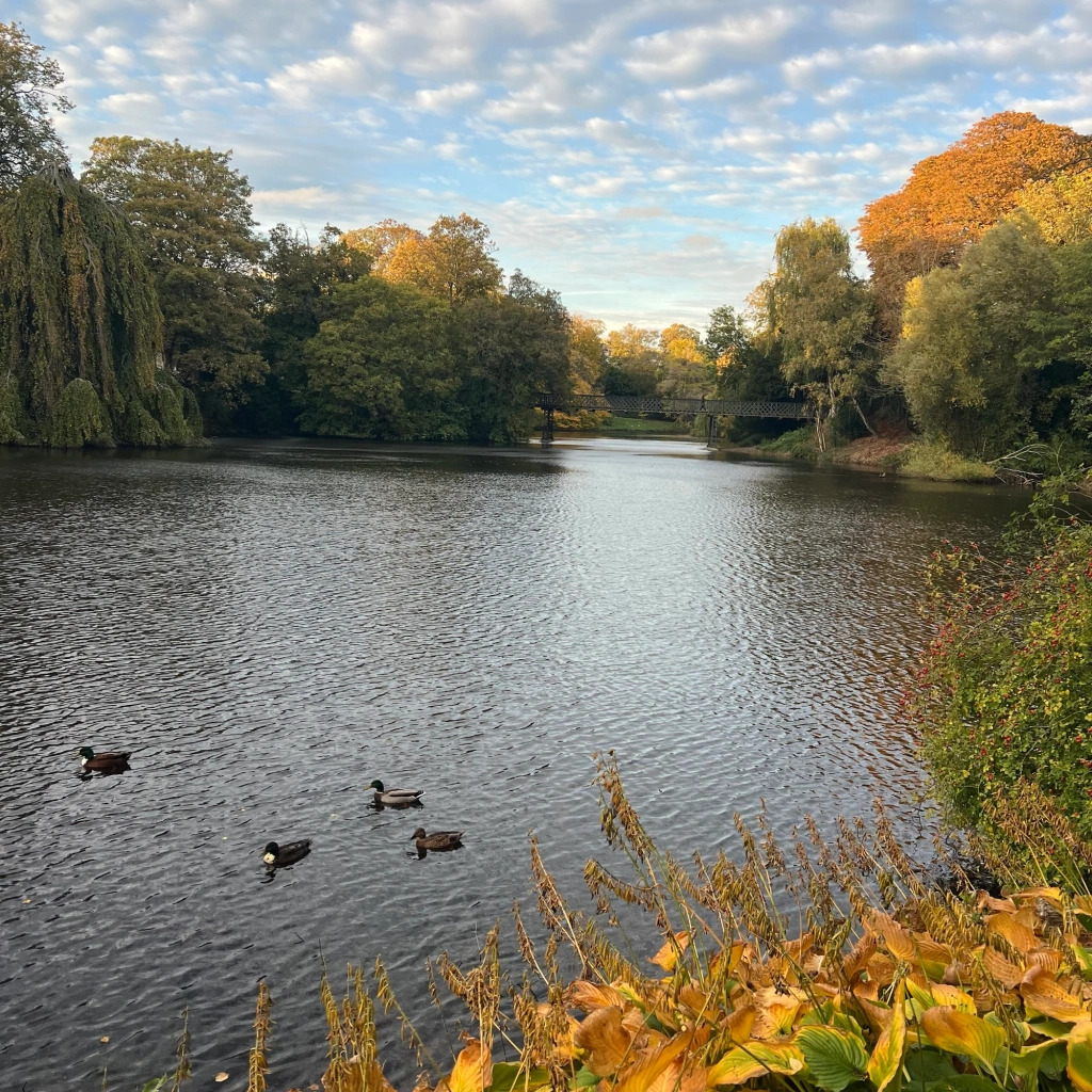 Oli’s ode to fall in Copenhagen