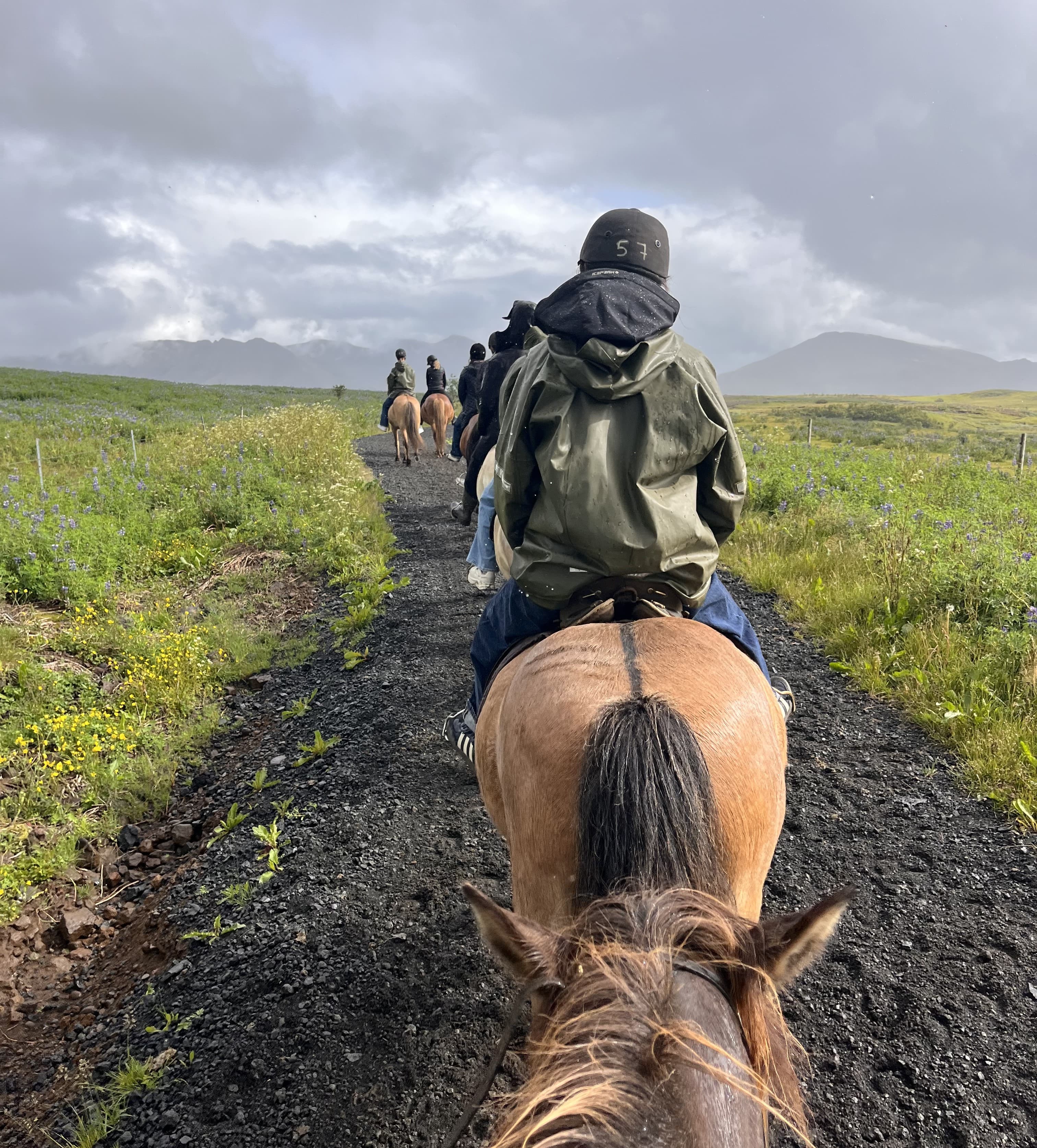 Exploring justice and punishment in Stockholm and Iceland