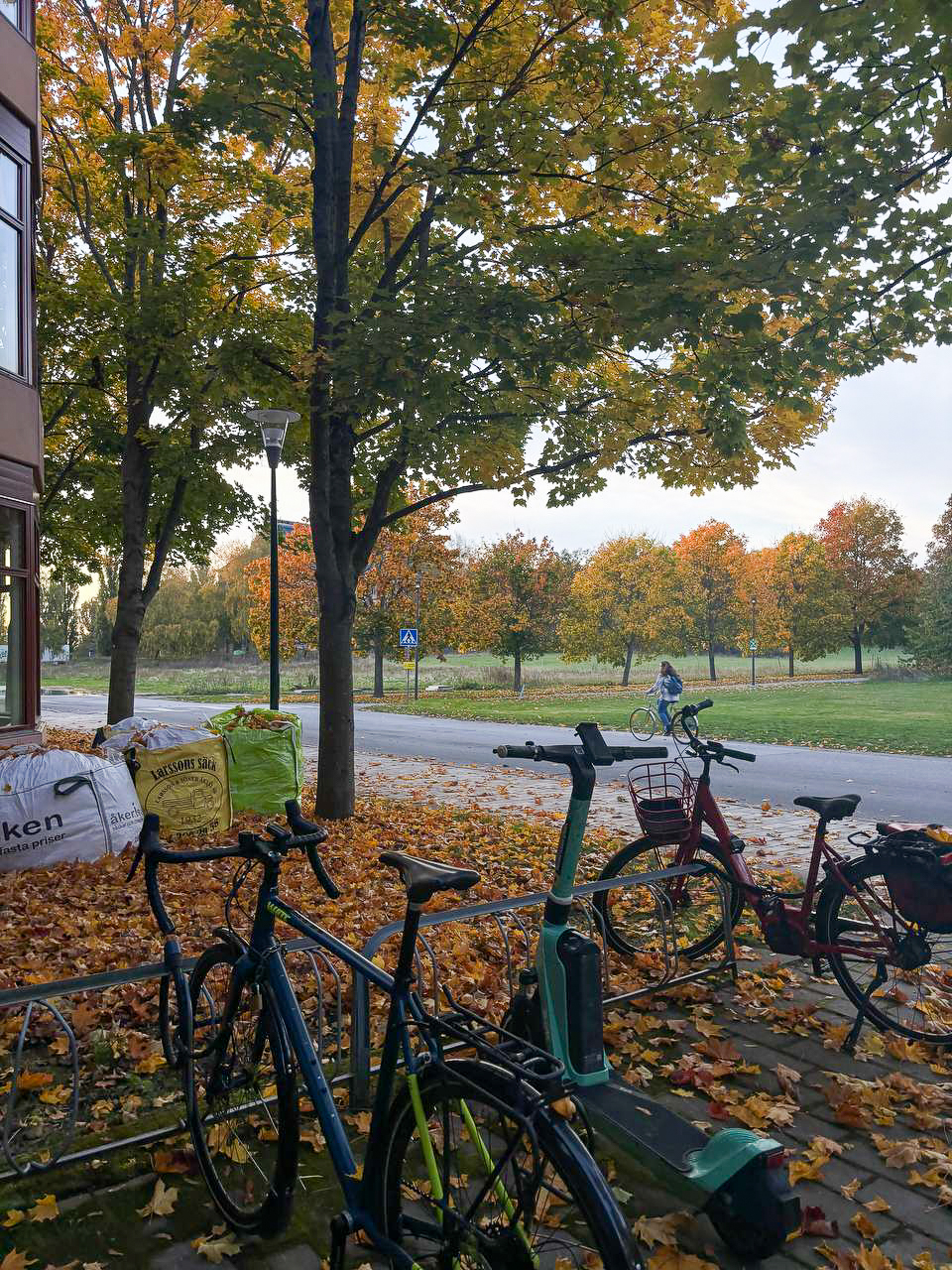 Student Blogger Digest – Fall in Scandinavia