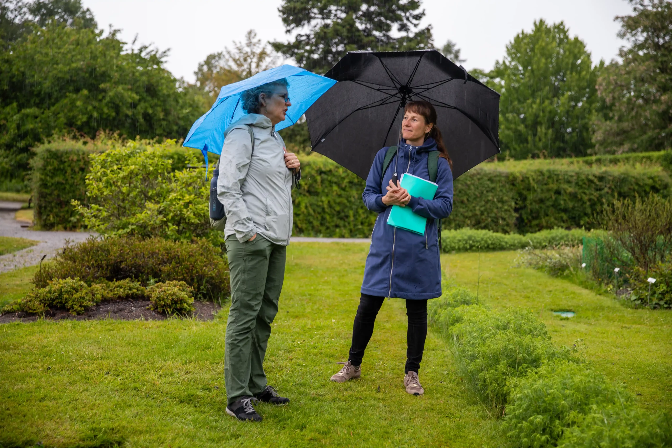 Reducing our carbon footprint